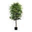 Kunstpflanze Ficus Benjamini mit Naturstamm, Farbe grün, inkl. Topf, Höhe ca. 210 cm