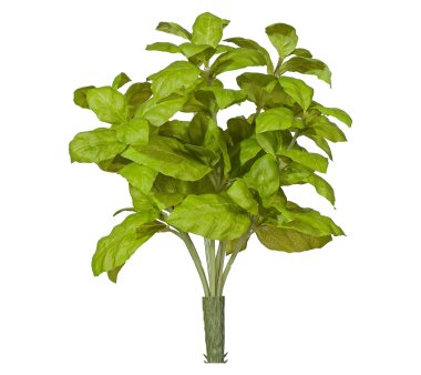 Kunstpflanze Basilikumbusch, 2er Set, Farbe grün,...