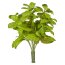 Kunstpflanze Basilikumbusch, 2er Set, Farbe grün, Höhe ca. 28 cm
