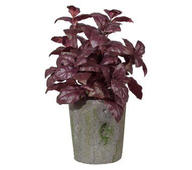 Kunstpflanze Basilikumbusch, Farbe burgund, inkl....