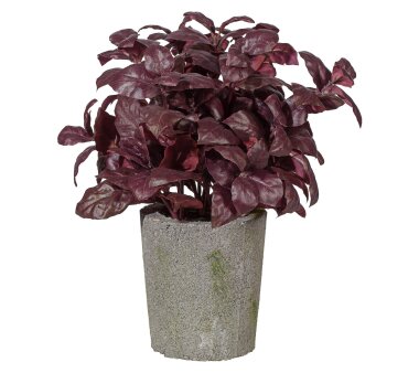 Kunstpflanze Basilikumbusch, Farbe burgund, inkl....