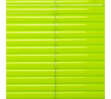 LIEDECO Aluminium-Jalousie  100 x 160 cm  Fb. apple green