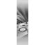 Schiebevorhang Deko blickdicht GOTAS, Farbe grau, Größe BxH 60x245 cm