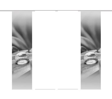 4er-Set Schiebevorhänge GOTAS blickdicht / transparent, Höhe 245 cm, grau