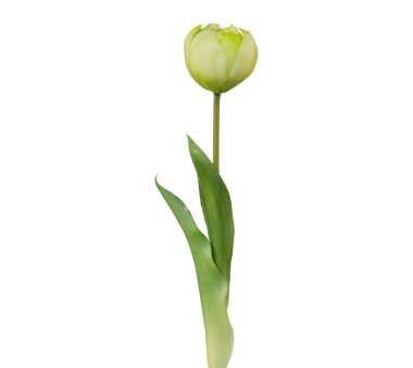 Kunstblume Tulpe gefüllt, 5er Set, weiß,...