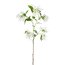 Kunstblume Erlenfelsenbirne, weiß, Höhe ca. 113 cm