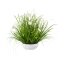 Kunstpflanze Gras mit Cosmea, weiß, inklusive Schale, Höhe ca. 45 cm