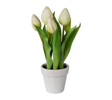 Kunstpflanze Tulpen, 2er Set, weiß, inklusive...