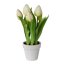 Kunstpflanze Tulpen, 2er Set, weiß, inklusive Keramiktopf, Höhe ca. 25 cm