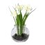 Kunstpflanze Narzissen mit Gras, 5er Set, weiß, inklusive Glas, Höhe  ca. 15 cm