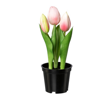 Kunstpflanze Tulpen, 3er Set, rosa, inklusive Topf,...