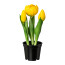 Kunstpflanze Tulpen gefüllt, 3er Set, gelb, inklusive Topf, Höhe ca. 20,5 cm