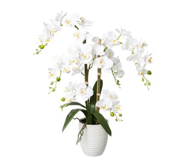 Kunstpflanze Phalaenopsis (Orchidee) weiß, inklusive Keramik-Topf, Höhe ca. 60  cm online kaufen
