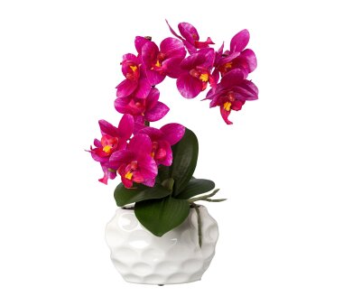 | lila, bei cm 60 Kunstpflanze Wohnfuehlidee Orchidee