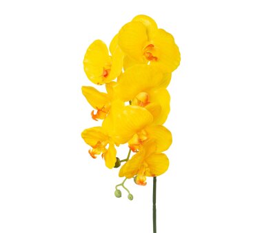 Kunstblume Phalenopsis (Orchidee), 3er Set, gelb,...
