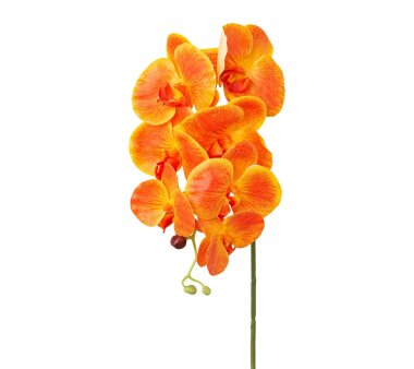 Kunstblume Phalenopsis (Orchidee), 3er Set, orange,...