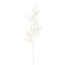 Künstlicher Asparaguszweig, 5er Set, creme, Höhe ca. 85 cm