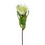 Kunstblume Protea, 3er Set, weiß, Höhe ca. 48 cm