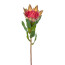 Kunstblume Protea, 3er Set, grün-rosa, Höhe ca. 48 cm