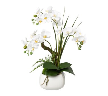 weiß, kaufen Keramik-Topf, cm Kunstpflanze inklusive Höhe (Orchidee) online Phalaenopsis ca. 60