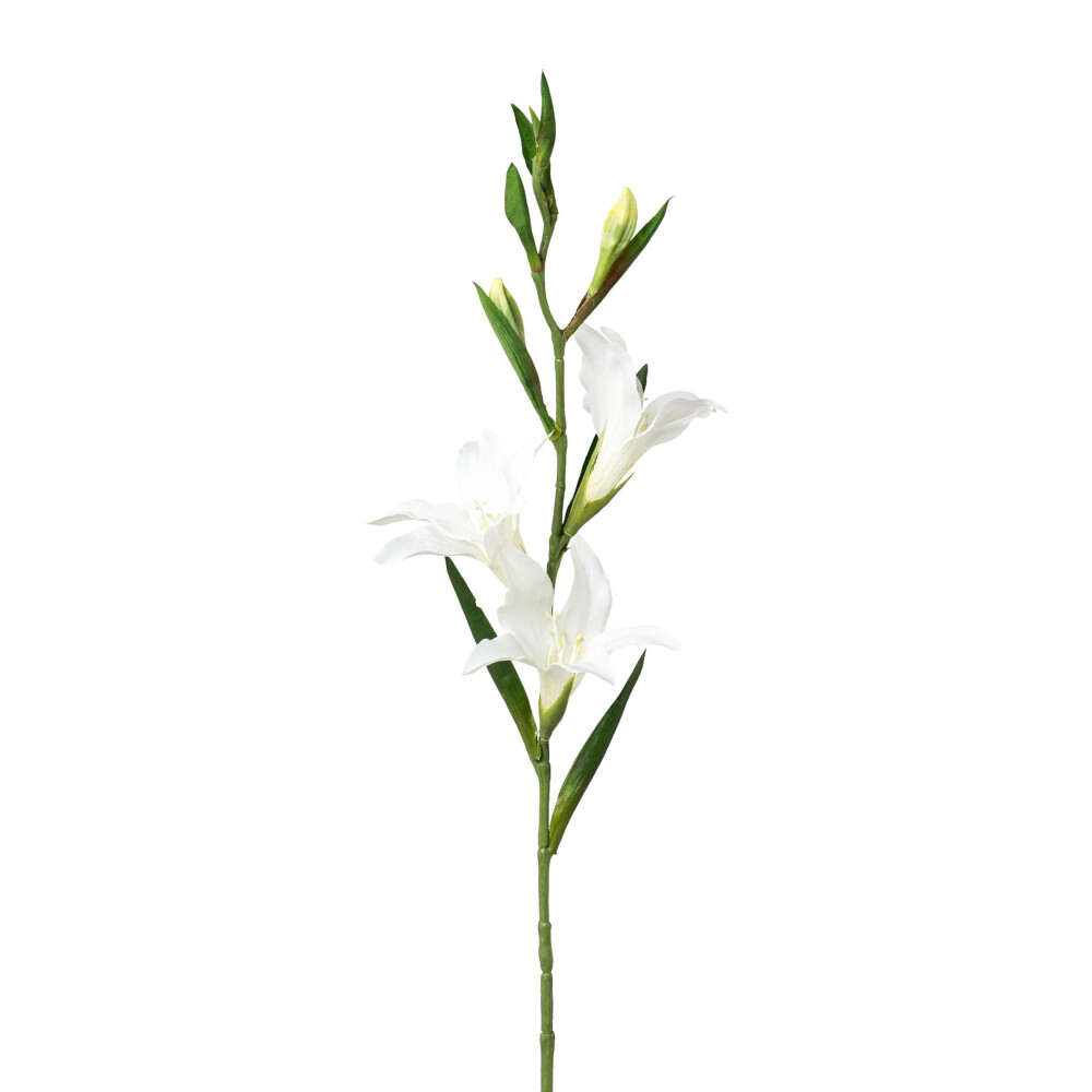 Kunstblume Gladiole, 3er Set, weiß, Höhe ca. 68 cm online kaufen