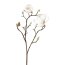 Kunstblume Magnolie, 2er Set, weiß, Höhe ca. 53 cm