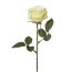 Kunstblume Rose, 7er Set, grün, Höhe ca. 36 cm