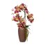 Kunstpflanze Phalaenopsis-Arrangement, grün / lila, inklusive Keramikvase, Höhe ca. 70 cm