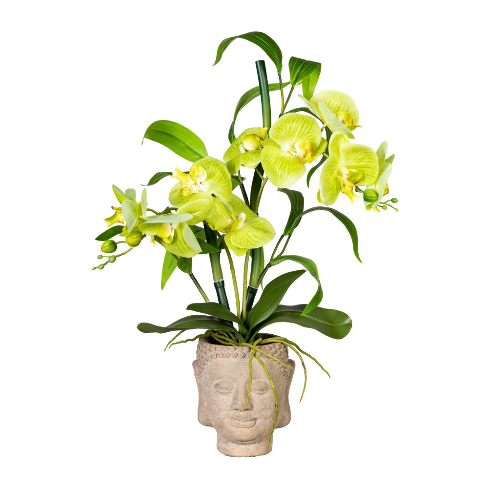 Kunstpflanze Orchideen-Bambus-Arrangement, grün, inklusive Zementtopf, Höhe  ca. 60 cm online kaufen