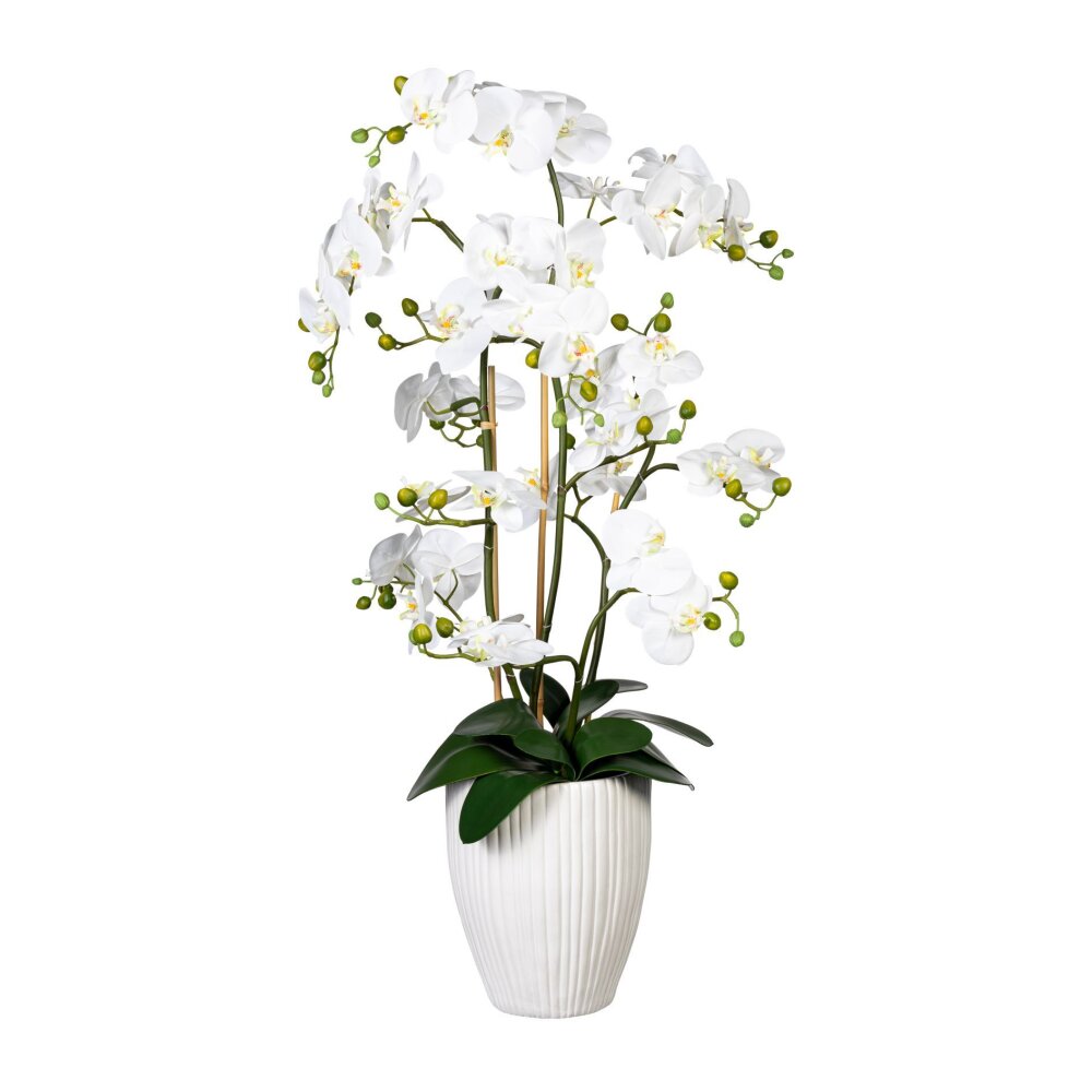 Kunstpflanze Phalaenopsis (Orchidee) weiß, inklusive Keramik-Topf, Höhe ca.  110 cm online kaufen