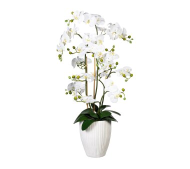 Kunstpflanze Phalaenopsis (Orchidee) weiß,...