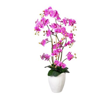 Kunstpflanze Orchidee cm Wohnfuehlidee 60 bei | lila