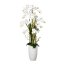 Kunstpflanze Phalaenopsis-Arrangement, weiß, inklusive Keramikvase, Höhe ca. 160 cm
