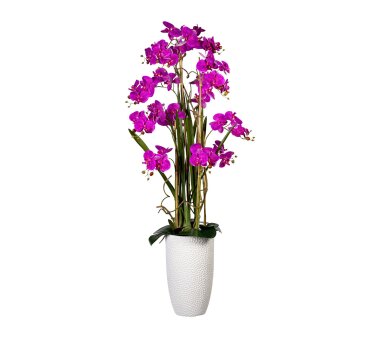 Kunstpflanze Phalaenopsis-Arrangement, lila, inklusive...