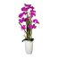 Kunstpflanze Phalaenopsis-Arrangement, lila, inklusive Keramikvase, Höhe ca. 160 cm
