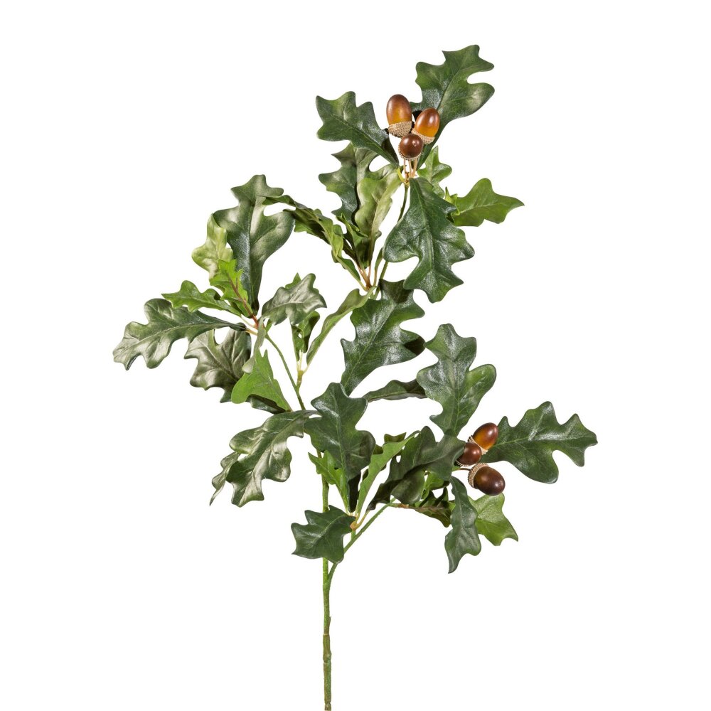 Künstlicher Eichenzweig, 2er Set, grün, 6 Früchte, Höhe ca. 70 cm online  kaufen