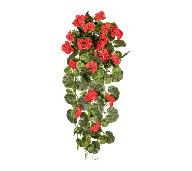 rosa, ca. online kaufen Geranienhänger, Höhe cm Kunstpflanze 80