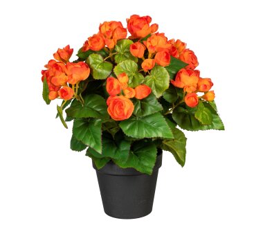 Kunstpflanze Begonienbusch, orange, inklusive...