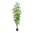 Künstliche Zierhanfpflanze, grün, inklusive Kunststoff-Topf, Höhe ca. 210 cm