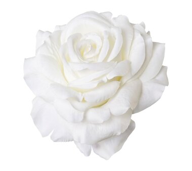 Kunstblume Rose mit Clip, 6er Set, weiß, 8,5x10,5 cm