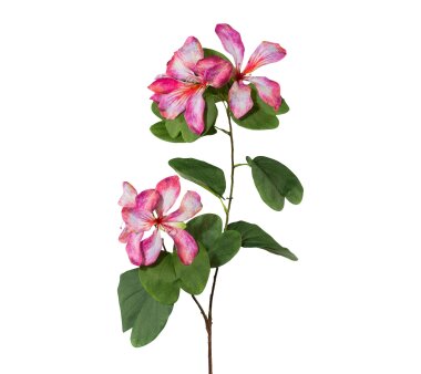 Künstlicher Bauhiniazweig, rosa, Höhe ca. 87 cm