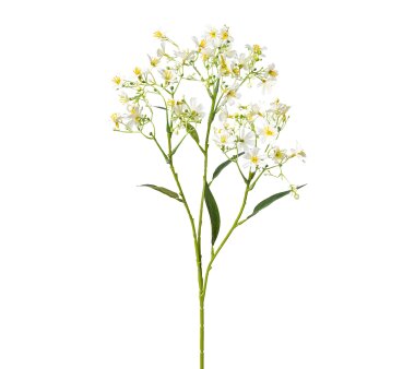 68 kaufen Höhe ca. Set, online 3er cm weiß, Gladiole, Kunstblume