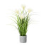 Kunstpflanze Riedgras, weiß, inklusive Topf, Höhe ca. 50 cm