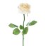 Kunstblume Rose, 5er Set, creme, Höhe ca. 60 cm