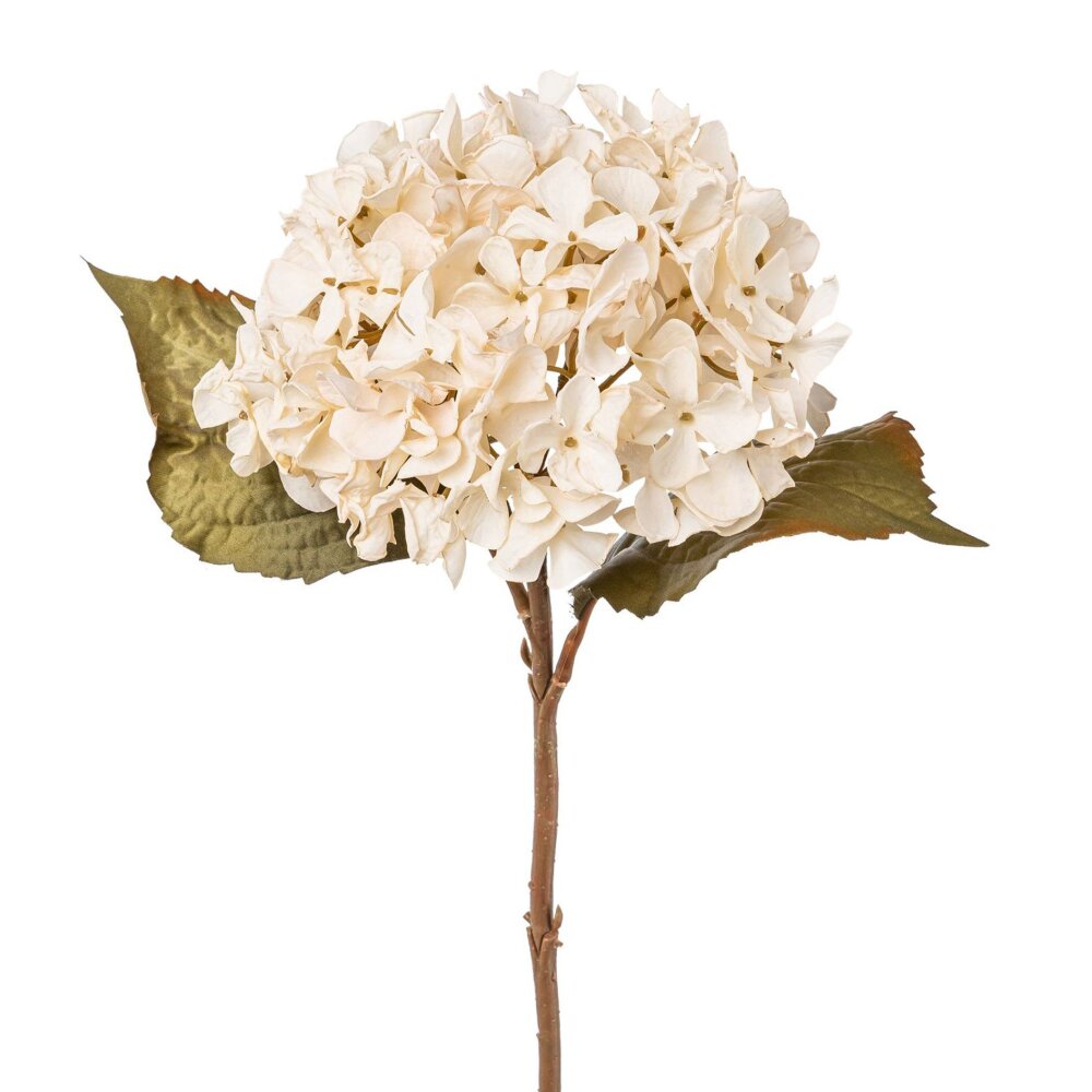 Kunstblume Hortensie, 3er Set, beige, Höhe ca. 46 cm online kaufen | Kunstblumen