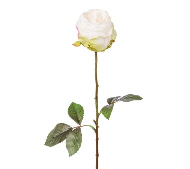 Kunstblume Rose, 5er Set, weiß, Höhe ca. 46 cm