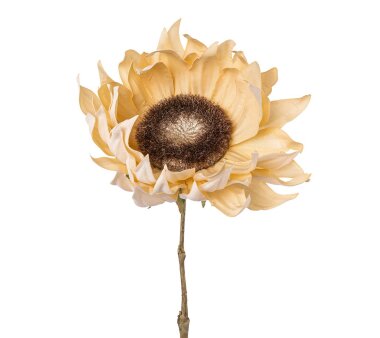 Kunstblume Sonnenblume, 3er Set, creme, Höhe ca. 58 cm