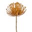 Kunstblume Nadelkissenprotea, 4er Set, orange, Höhe ca. 48 cm