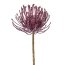Kunstblume Nadelkissenprotea, 4er Set, lila, Höhe ca. 48 cm
