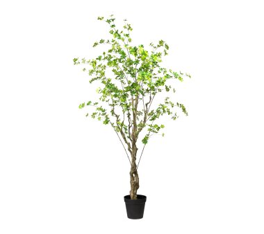 inklusive online Buchs-Kugelbaum, ca. kaufen 80 cm Kunstpflanze Naturstamm, Kunststoff-Topf, grün, Höhe
